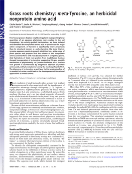 Grass Roots Chemistry: Meta-Tyrosine, an Herbicidal Nonprotein Amino Acid