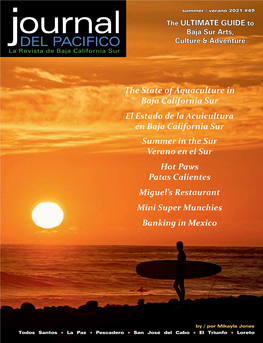 Del Pacifico Culture & Adventure La Revista De Baja California Sur