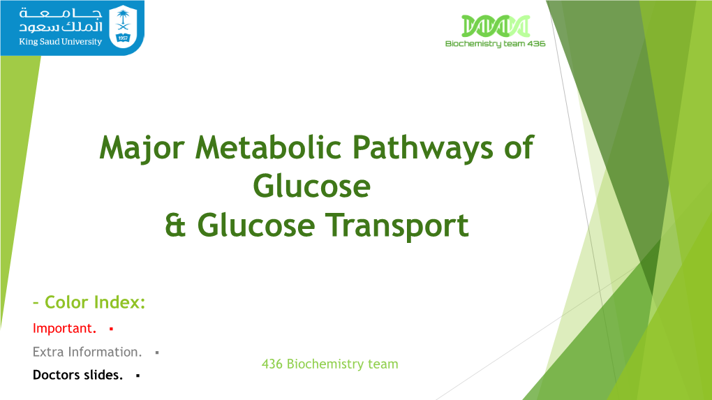 11-Major Metabolic Pathway TEAM436