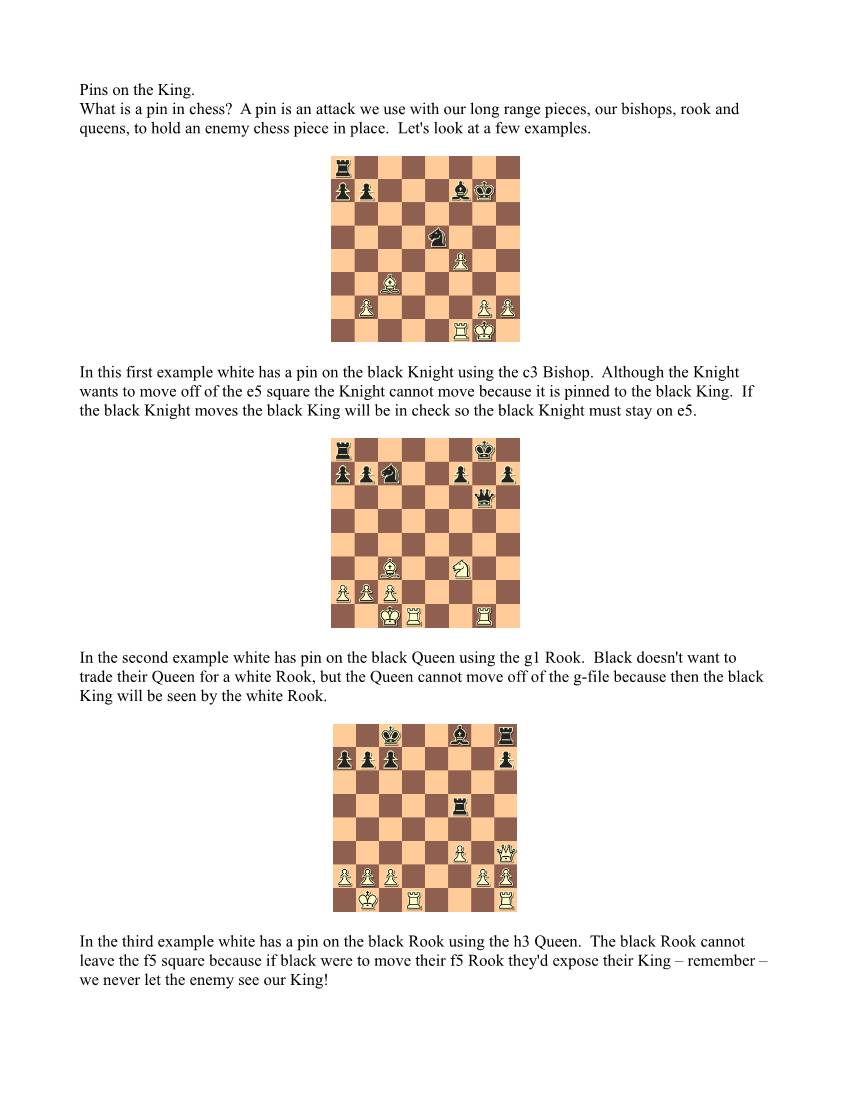 Pins on the King. What Is a Pin in Chess? a Pin Is an Attack We Use with Our Long Range Pieces, Our Bishops, Rook and Queens, to Hold an Enemy Chess Piece in Place