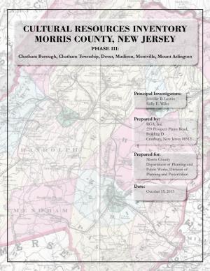 CULTURAL RESOURCES INVENTORY MORRIS COUNTY, NEW JERSEY PHASE III: Chatham Borough, Chatham Township, Dover, Madison, Montville, Mount Arlington