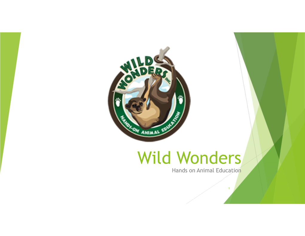 Wild Wonders Hands on Animal Education
