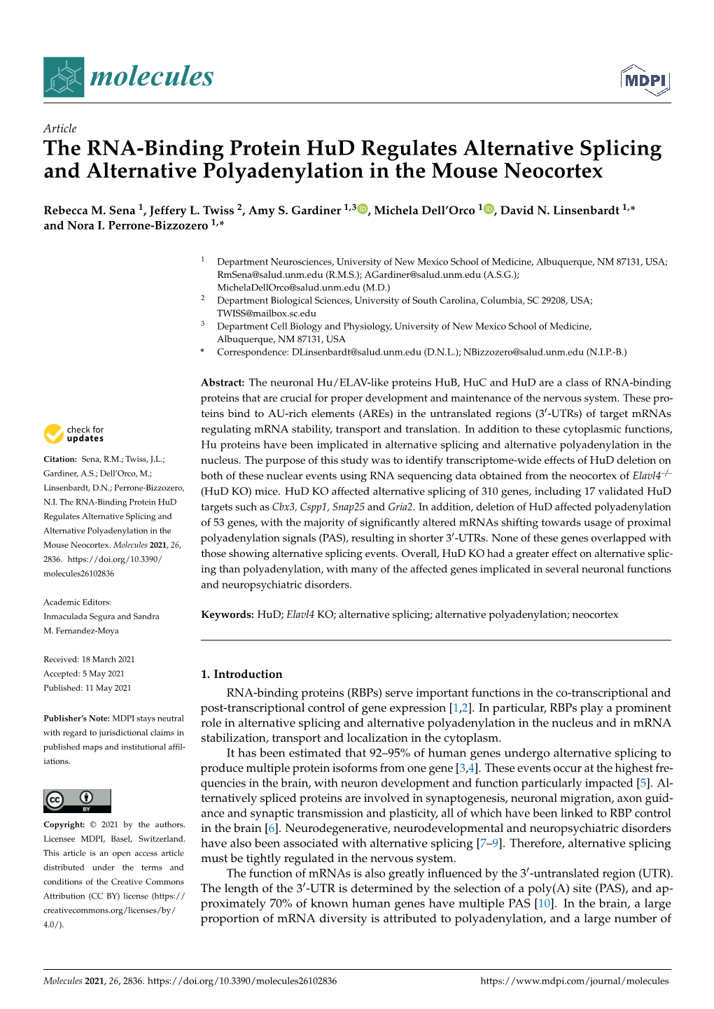 The RNA-Binding Protein Hud Regulates Alternative Splicing and Alternative Polyadenylation in the Mouse Neocortex