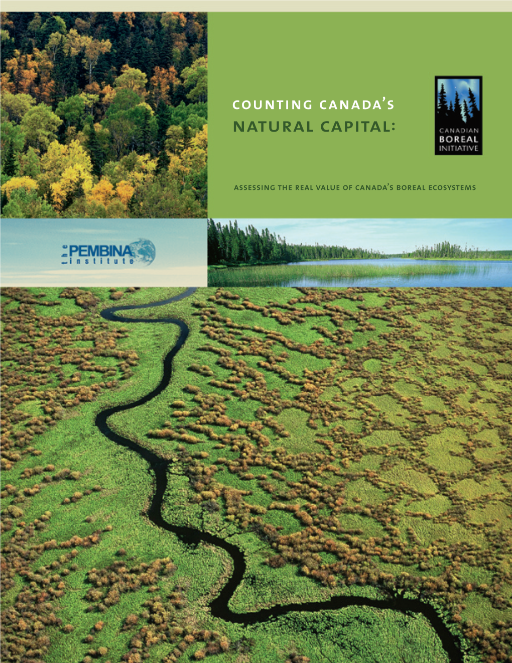 Counting Canada's Natural Capital