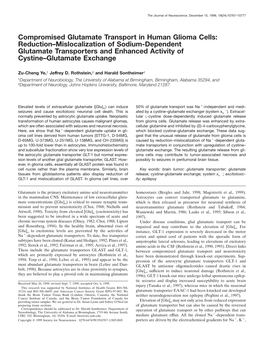 Compromised Glutamate Transport in Human Glioma Cells: Reduction