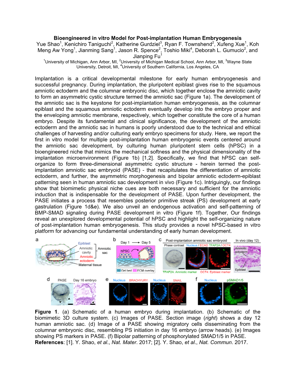 Bioengineered in Vitro Model for Post-Implantation Human Embryogenesis Yue Shao1, Kenichiro Taniguchi2, Katherine Gurdziel3, Ryan F