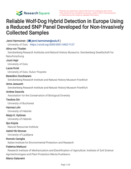 Reliable Wolf-Dog Hybrid Detection in Europe Using a Reduced SNP Panel Developed for Non-Invasively Collected Samples