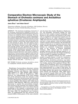 Comparative Electron Microscopic Study of the Stomach of Orchestia Cavimana and Arcitalitrus Sylvaticus (Crustacea: Amphipoda)