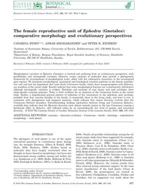 The Female Reproductive Unit of Ephedra (Gnetales): Comparative Morphology and Evolutionary Perspectives