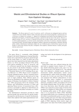 Meiotic and Ethnobotanical Studies on Rheum Species from Kashmir Himalaya