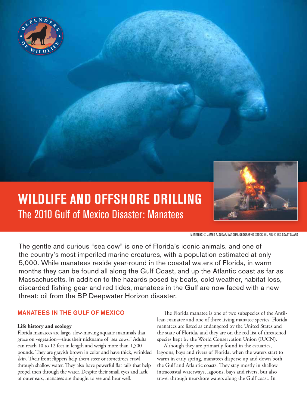 Wildlife and Offshore Drilling the 2010 Gulf of Mexico Disaster: Manatees
