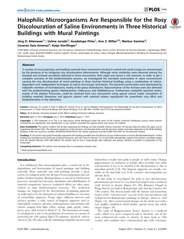 Halophilic Microorganisms Are Responsible for the Rosy Discolouration of Saline Environments in Three Historical Buildings with Mural Paintings