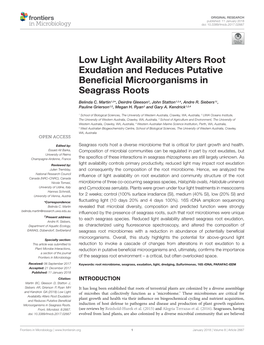 Low Light Availability Alters Root Exudation and Reduces Putative Beneﬁcial Microorganisms in Seagrass Roots