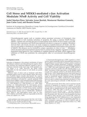 Cell Stress and MEKK1-Mediated C-Jun Activation Modulate NF B