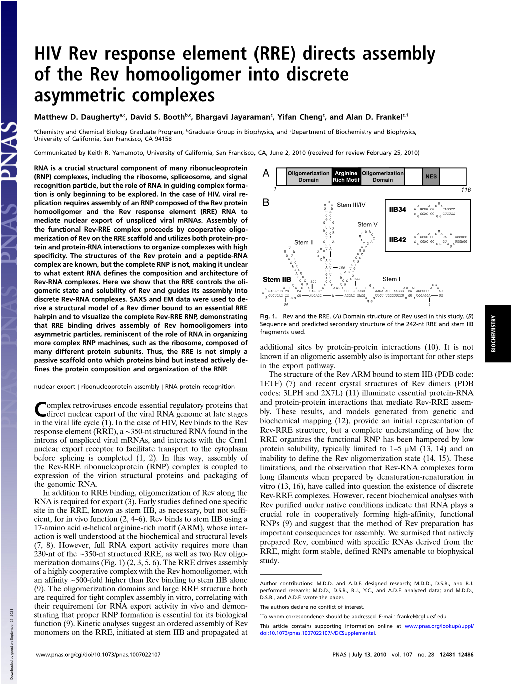 HIV Rev Response Element (RRE) Directs Assembly of the Rev Homooligomer Into Discrete Asymmetric Complexes