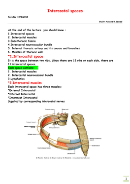 Intercostal Spaces