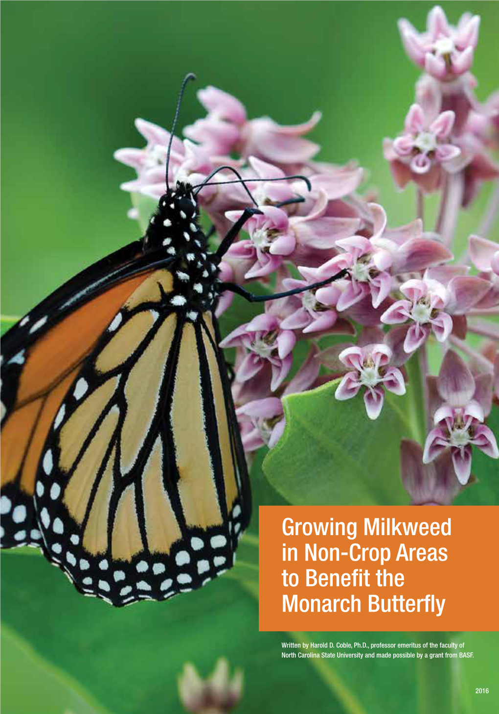Growing Milkweed in Non-Crop Areas to Benefit the Monarch Butterfly