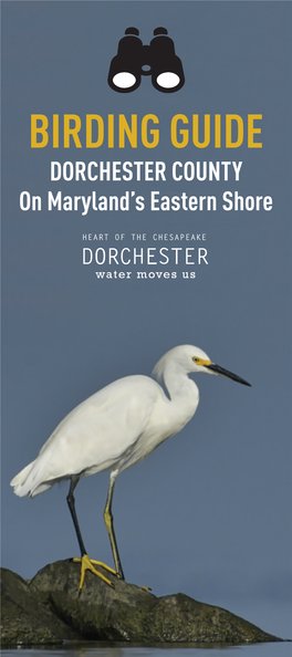 Dorchester Birding Guide