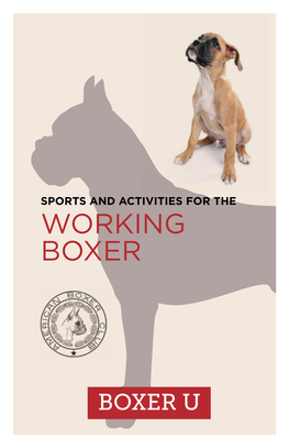 Sports & Activities for the Working Boxer