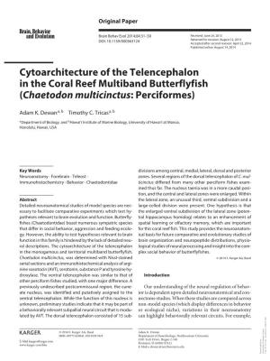 Cytoarchitecture of the Telencephalon in the Coral Reef Multiband Butterflyfish (Chaetodon Multicinctus: Perciformes)