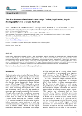 The First Detection of the Invasive Macroalga Codium Fragile Subsp