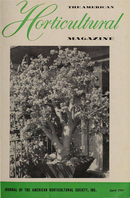 AMERICAN IORTICULTURAL SOCIETY, INC. April 1967 AMERICAN HORTICULTURAL S O CIETY