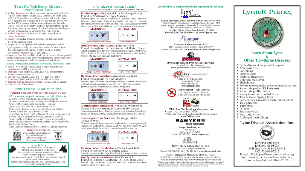 LDA's Lymer Primer