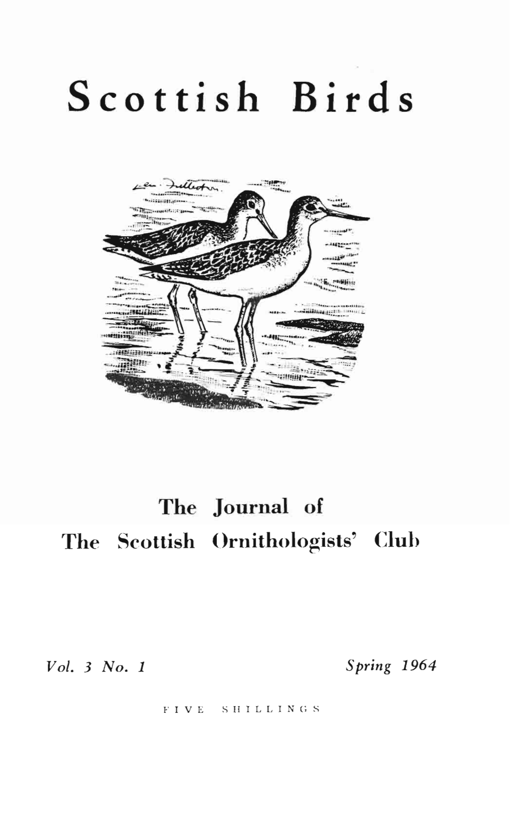 Scottish Birds