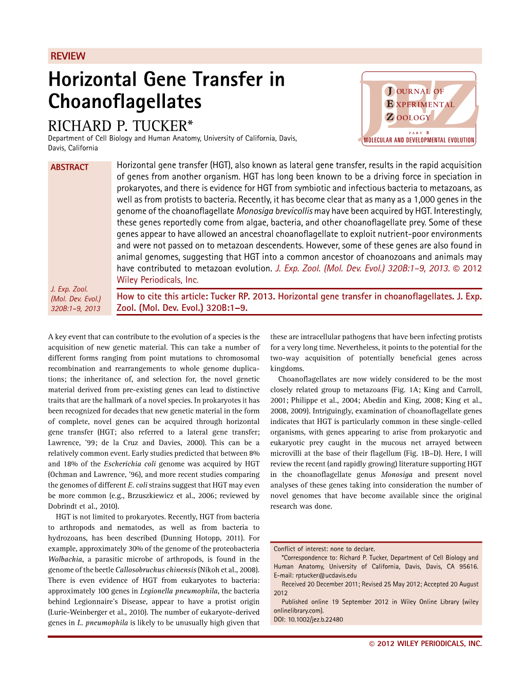 Horizontal Gene Transfer in Choanoflagellates