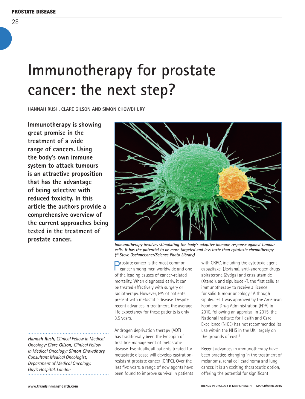 Immunotherapy for Prostate Cancer: the Next Step?