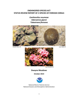 Endangered Species Act Status Review Report of 3 Species of Foreign Corals