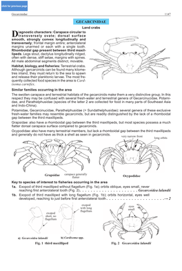 Gecarcinidae 1147