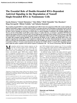 The Essential Role of Double-Stranded RNA–Dependent Antiviral Signaling in the Degradation of Nonself Single-Stranded RNA in Nonimmune Cells