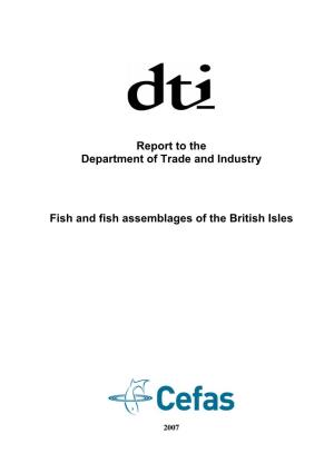 Report to the Department of Trade and Industry Fish and Fish