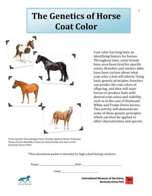 The Genetics of Horse Coat Color
