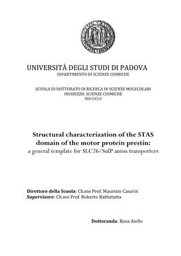 Università Degli Studi Di Padova Dipartimento Di Scienze Chimiche