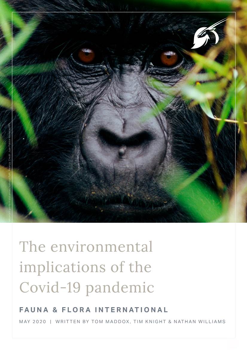 The Environmental Implications of the Covid-19 Pandemic