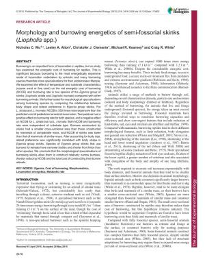 Morphology and Burrowing Energetics of Semi-Fossorial Skinks (Liopholis Spp.) Nicholas C
