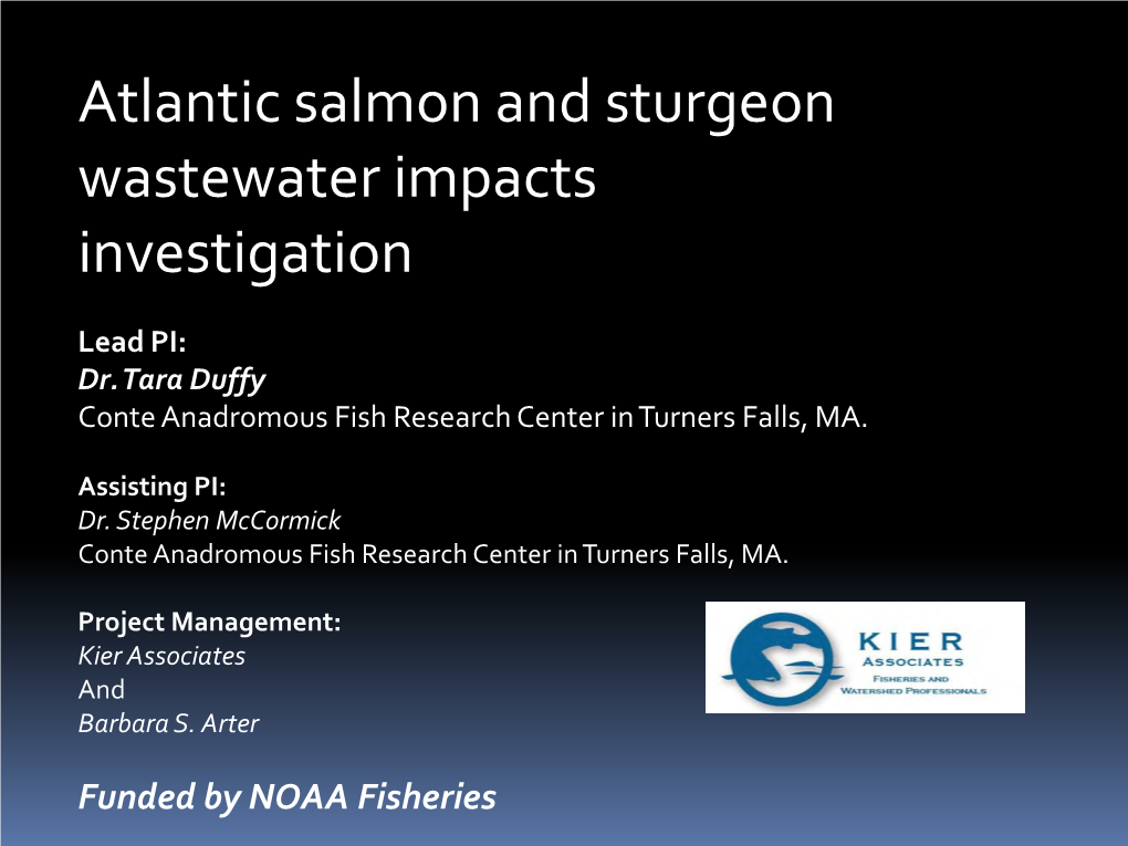 Federally Endangered Atlantic Salmon and Shortnose Sturgeon Are Two Species That Use Portions of River Systems in Maine Where Pollutant Discharges Occur