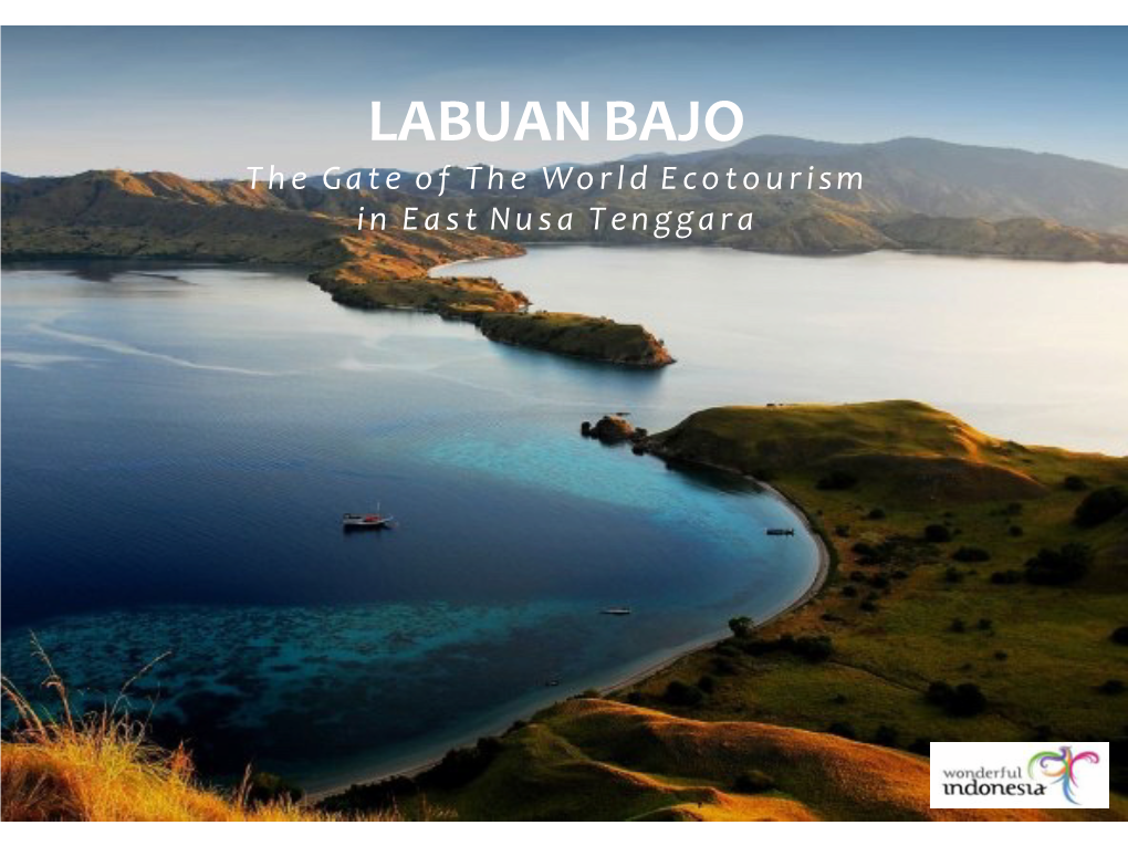 LABUAN BAJO the Gate of the World Ecotourism in East Nusa Tenggara LABUAN BAJO DESTINATION PROFILE