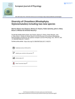 Diversity of Chroothece (Rhodophyta, Stylonematales) Including Two New Species