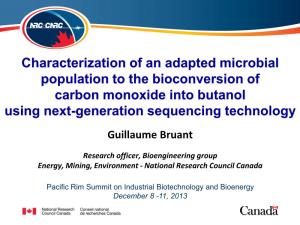 Characterization of an Adapted Microbial Population to the Bioconversion of Carbon Monoxide Into Butanol Using Next-Generation Sequencing Technology