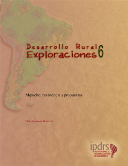 Mapuche: Resistencia Y Propuestas