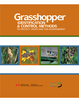 Grasshopper Identification & Control Methods