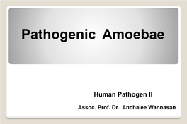 Pathogenic Amoebae