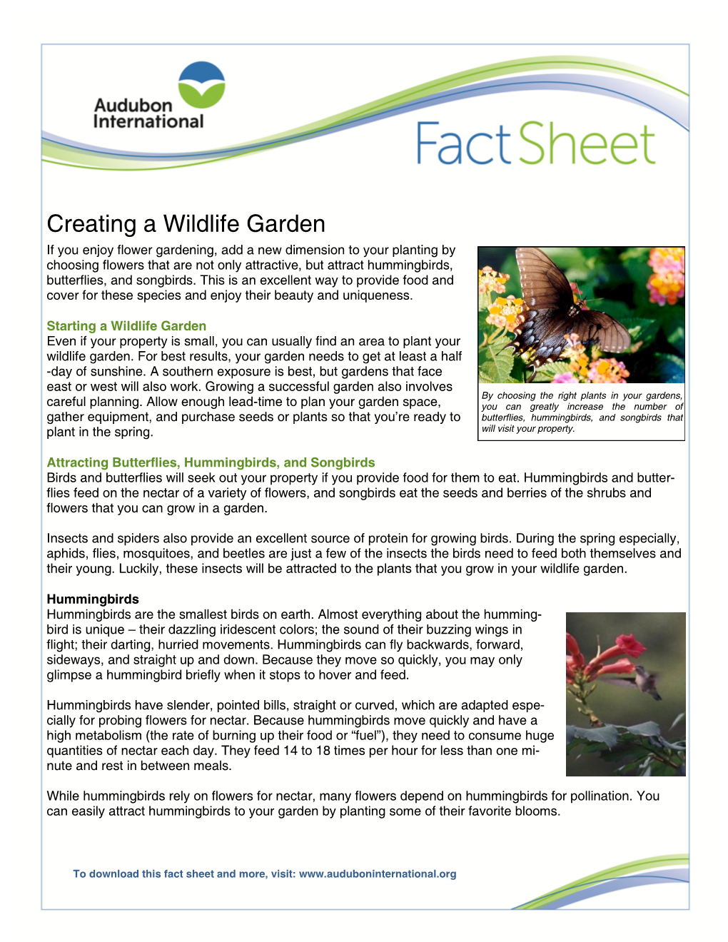 Creating a Wildlife Garden