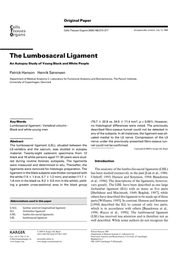 The Lumbosacral Ligament