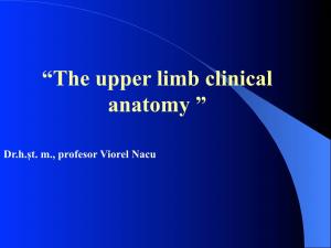 “The Upper Limb Clinical Anatomy ”