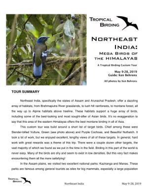 Northeast India: Mega Birds of the HIMALAYAS