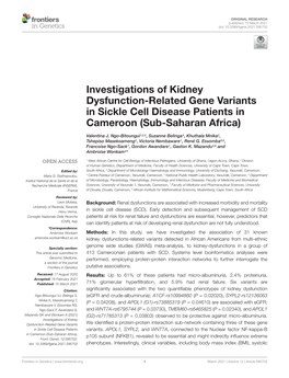 Investigations of Kidney Dysfunction-Related Gene Variants in Sickle Cell Disease Patients in Cameroon (Sub-Saharan Africa)